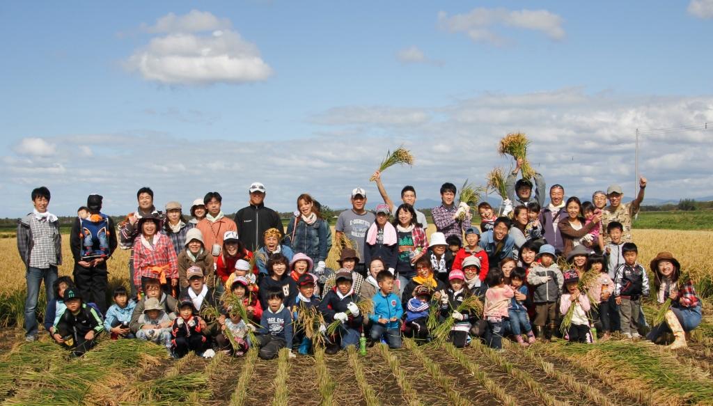 2016年も稲刈りイベント開催します！参加者募集中（10月16日）